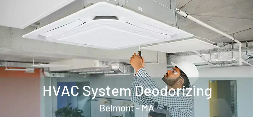  HVAC System Deodorizing Belmont - MA