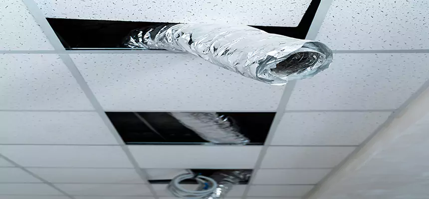 Our Air Duct Pet Hair Removal Services in Belmont, MA