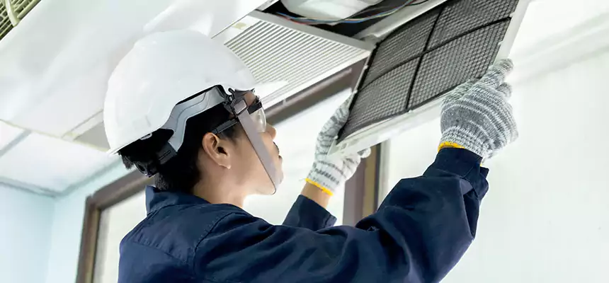 Our Mold & Mildew Removal from Air Ducts Services in Belmont, MA