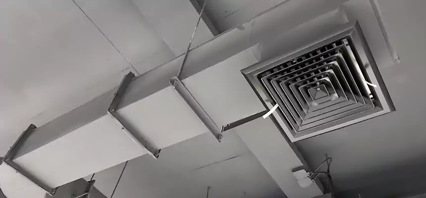 Our Pest Removal From Ducts Services in Belmont, MA