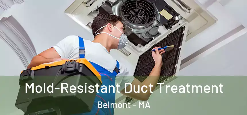  Mold-Resistant Duct Treatment Belmont - MA