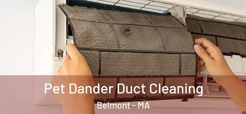 Pet Dander Duct Cleaning Belmont - MA
