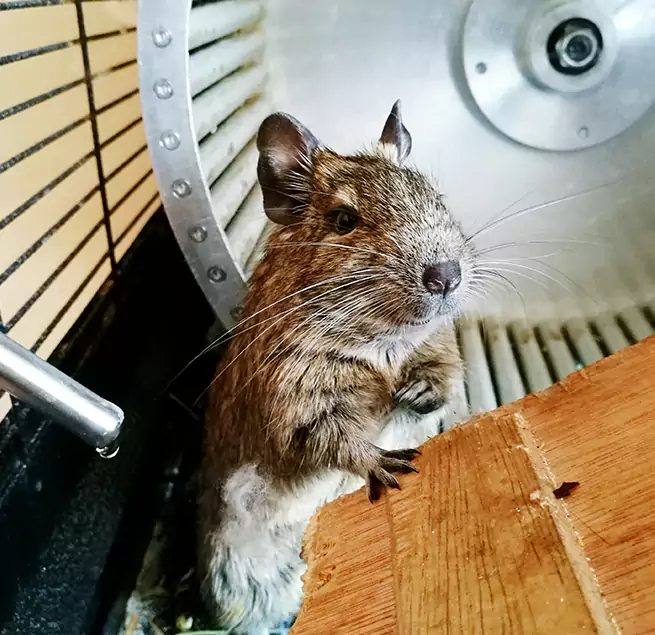 Why Homeowners & Businesses Trust Us Belmont, MA?