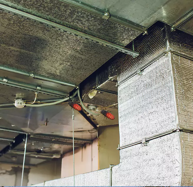 Why Homeowners & Businesses Trust Us Belmont, MA?