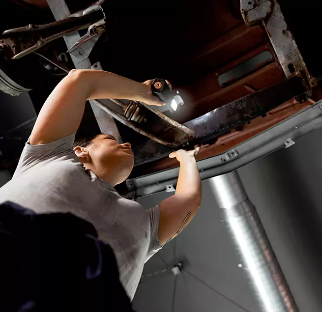 Why Homeowners & Businesses Trust Us Belmont, MA