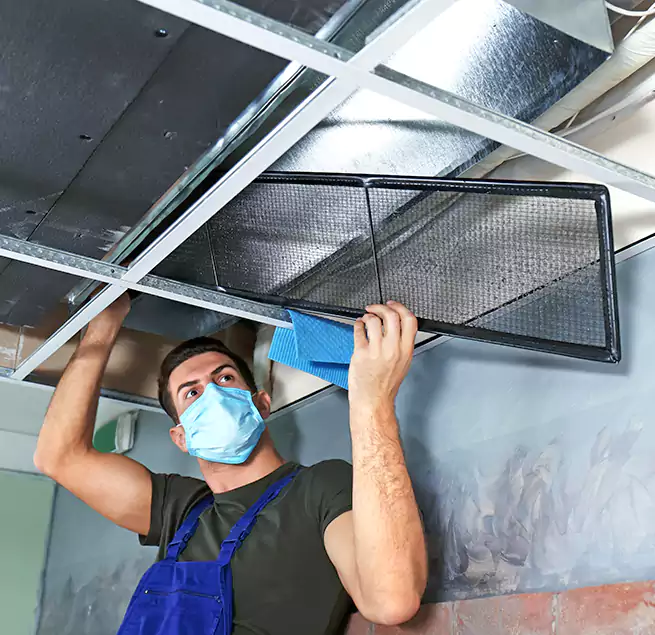 Why Homeowners Businesses Trust Us in Belmont, MA